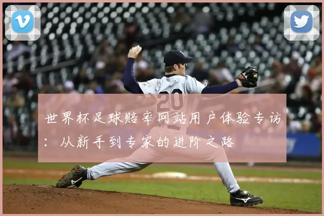 世界杯足球赔率网站用户体验专访：从新手到专家的进阶之路