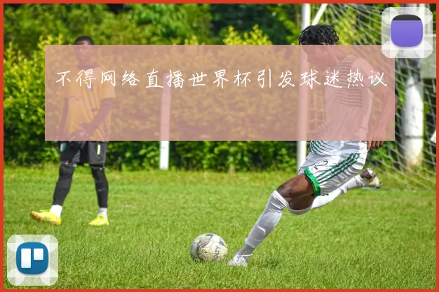 不得网络直播世界杯引发球迷热议