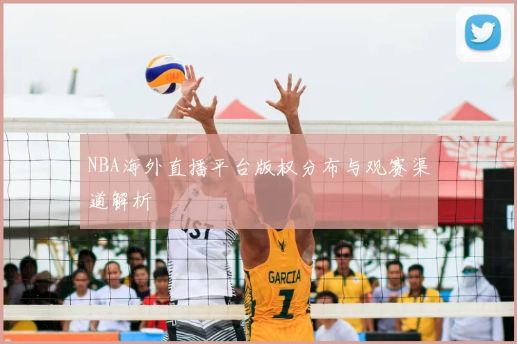 NBA海外直播平台版权分布与观赛渠道解析