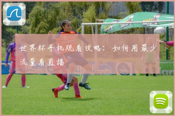 世界杯手机观看攻略：如何用最少流量看直播