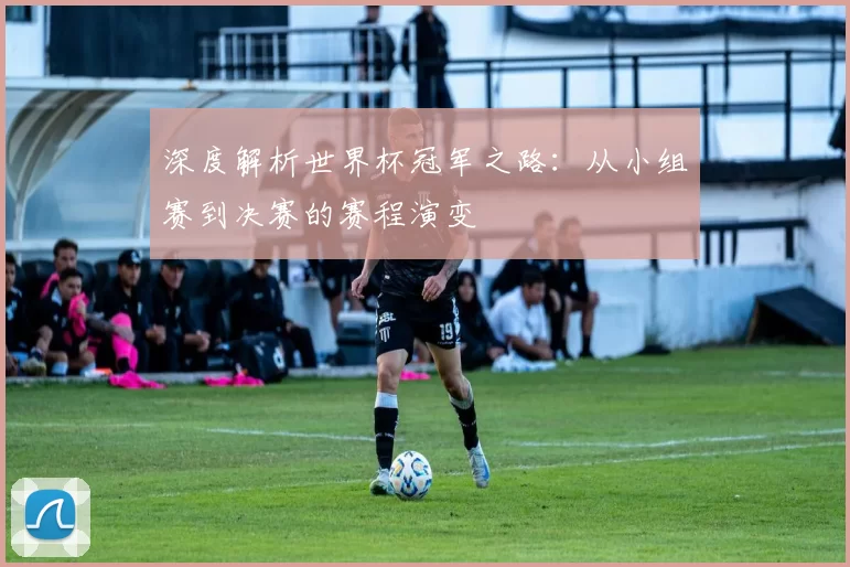 深度解析世界杯冠军之路：从小组赛到决赛的赛程演变
