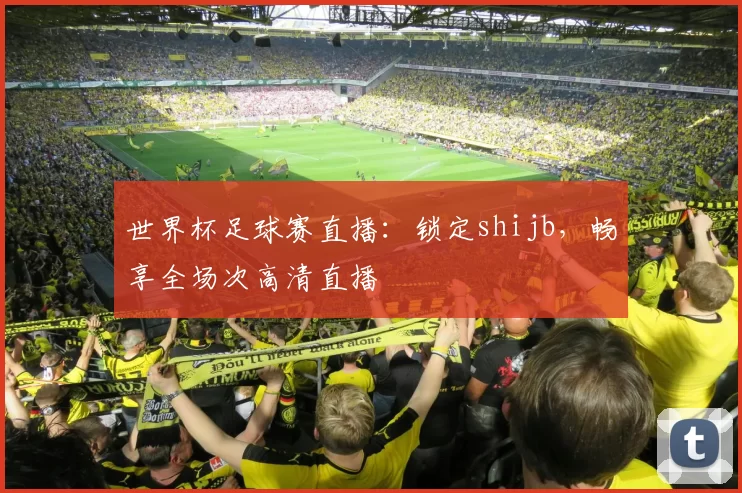 世界杯足球赛直播：锁定shijb，畅享全场次高清直播