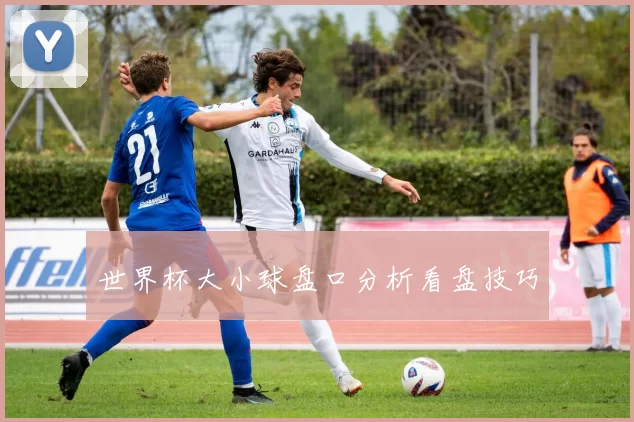 世界杯大小球盘口分析看盘技巧
