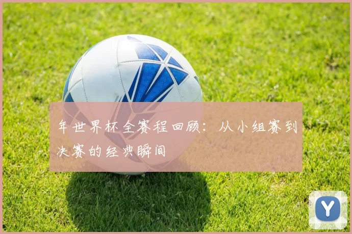 年世界杯全赛程回顾：从小组赛到决赛的经典瞬间